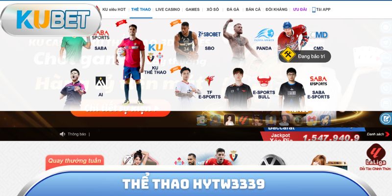Thể thao Hytw3339